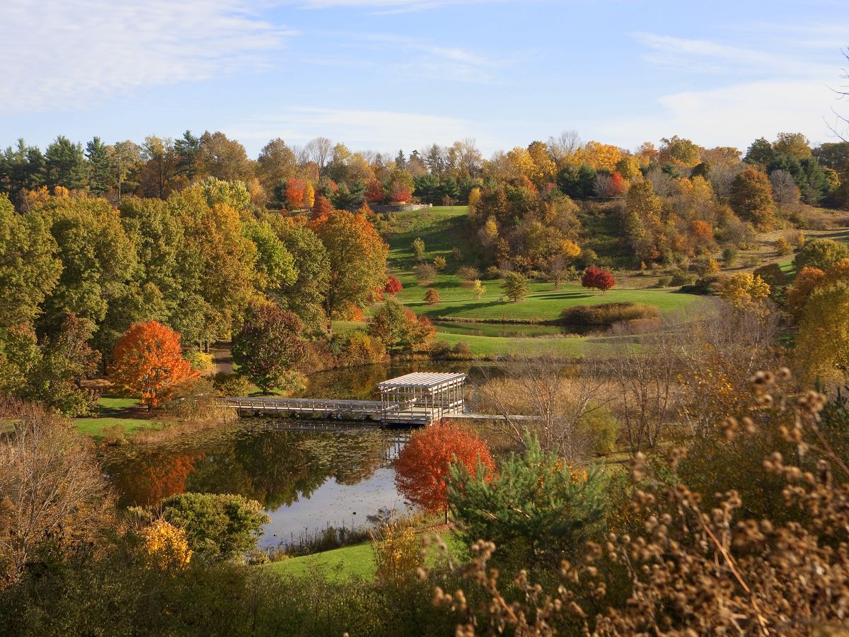 A wide view of a natural area with a pond, lawns, and trees showing fall foliage