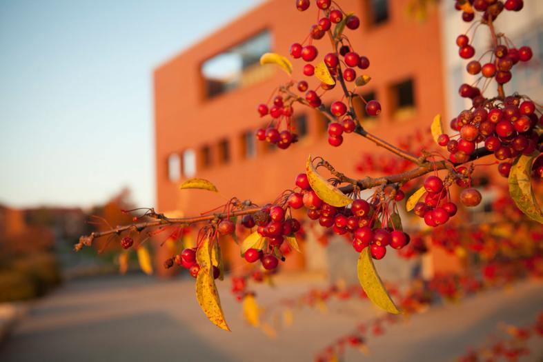 Appel Commons